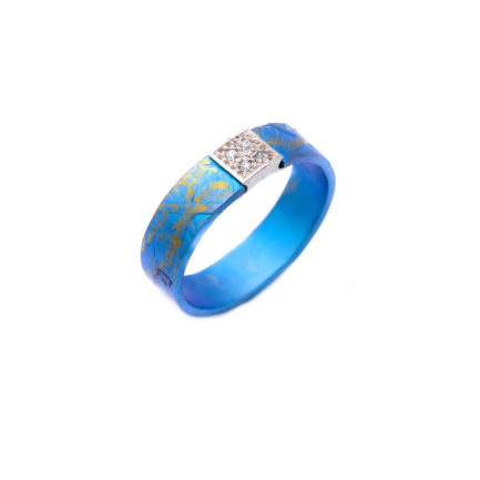 Anodized Titanium Textured Narrow Round Ring with Silver Bar with Two Rows of 2 Zircon