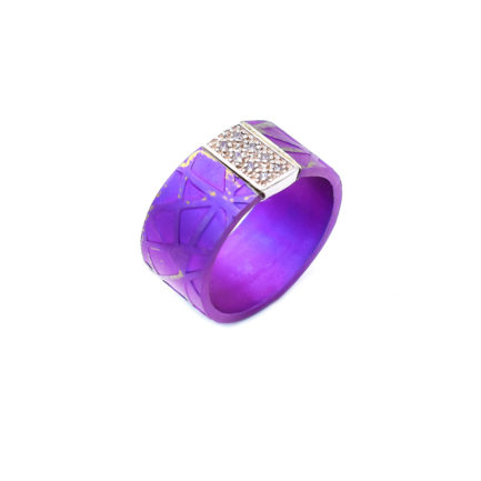 Anodized Titanium Textured Wide Round Ring with Silver Bar with 8 Zircon