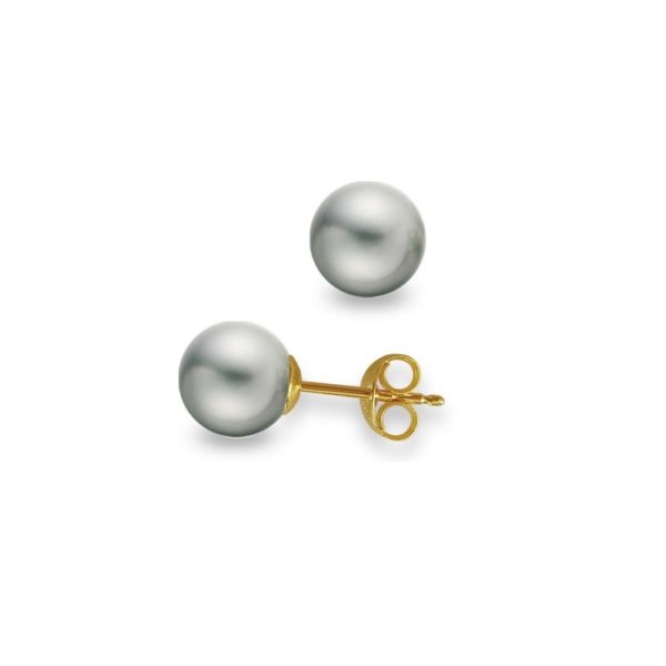 Gray Akoya Pearl White 5-5.5mm Stud Earrings in Gold 14k