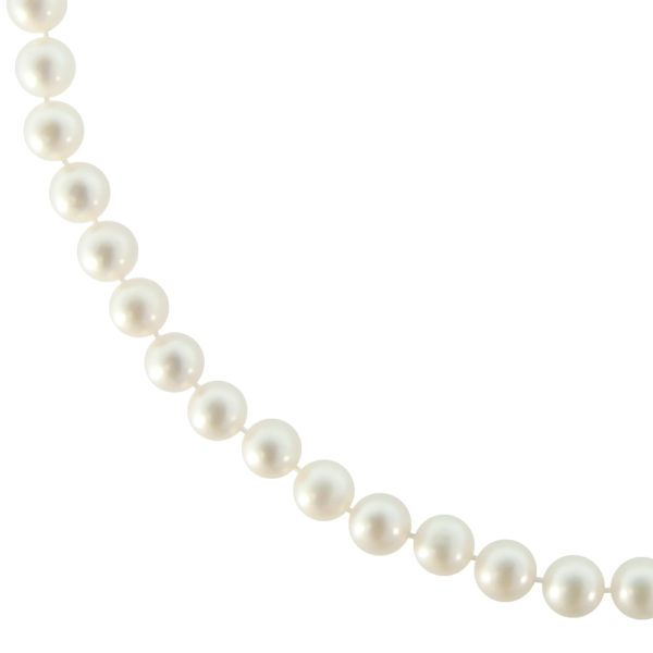 6.5-7mm White Freshwater Cultured Pearl Necklace in k14 Gold - Image 4