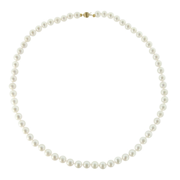 6.5-7mm White Freshwater Cultured Pearl Necklace in k14 Gold - Image 3