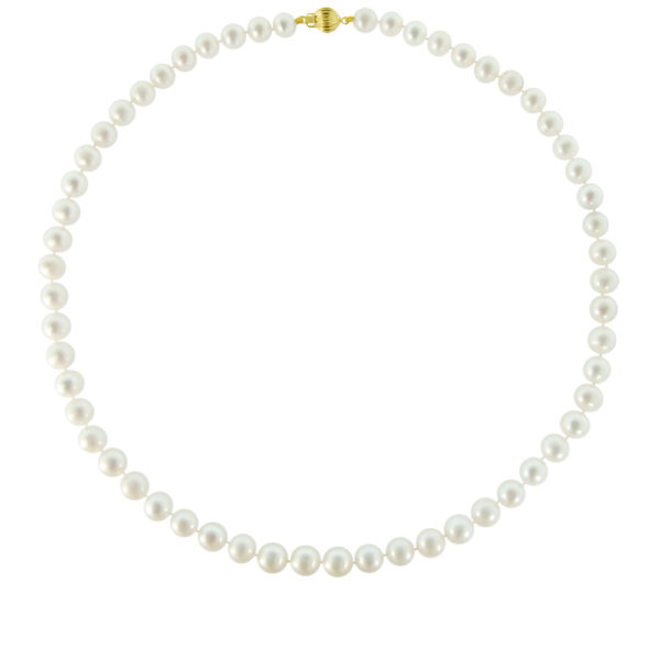 7-7.5mm White Freshwater Cultured Pearl Necklace in k14 Gold - Image 2